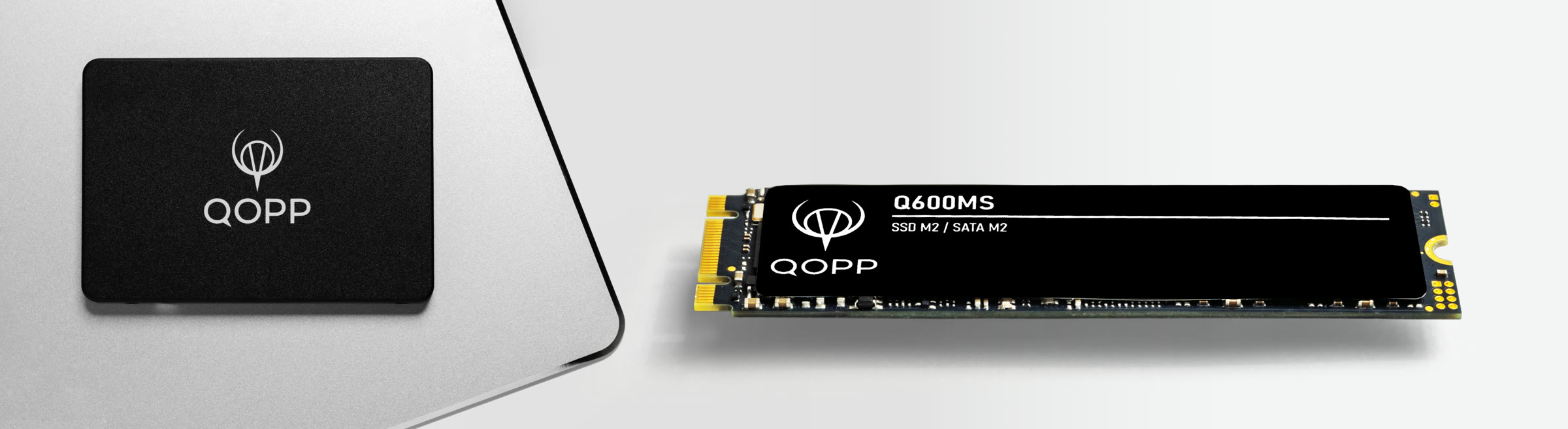 SSD QOPP SATA: накопитель 2.5 и модуль M2 Q600MS